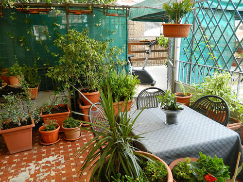 קטאניה Crispi Rooms מראה חיצוני תמונה